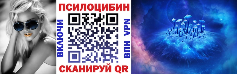 Купить где  Кадников  Галлюциногенные грибы MAGIC MUSHROOMS 